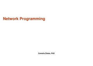 Network Programming