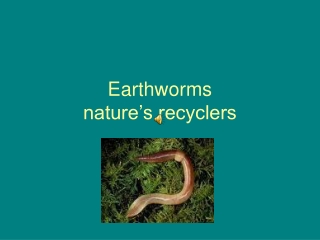 Earthworms nature’s recyclers