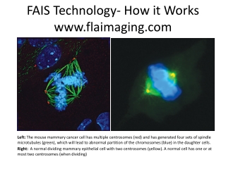 FAIS Technology- How it Works flaimaging