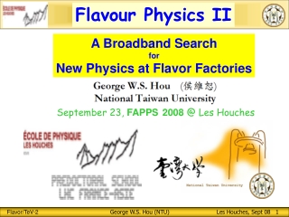 A Broadband Search for New Physics at Flavor Factories