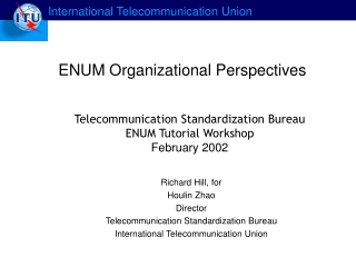 ENUM Organizational Perspectives