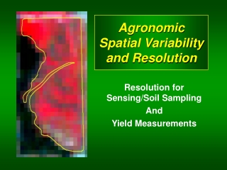 Agronomic Spatial Variability and Resolution