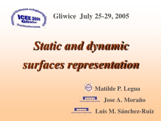 Static and dynamic surfaces representation