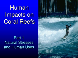 Human Impacts on Coral Reefs