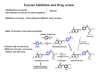 Enzyme Inhibition and Drug Action