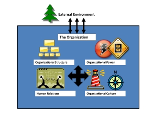 Organizational Structure