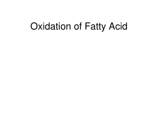 Oxidation of Fatty Acid