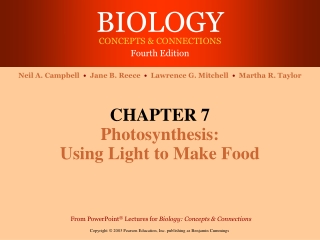 CHAPTER 7 Photosynthesis: Using Light to Make Food
