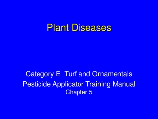 Plant Diseases