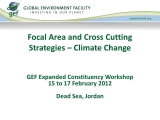 Focal Area and Cross Cutting Strategies – Climate Change