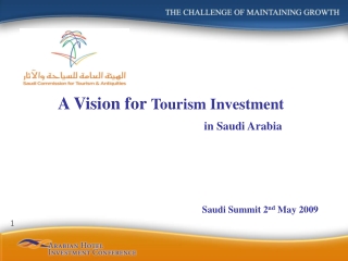 A Vision for  Tourism Investment