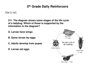 5 th  Grade Daily Reinforcers TEK 5.10C