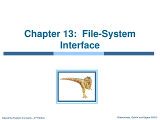 Chapter 13:  File-System Interface
