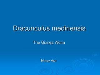 Dracunculus medinensis The Guinea Worm