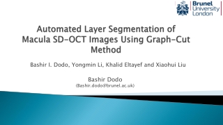 Automated Layer Segmentation of  Macula SD-OCT Images Using Graph-Cut Method