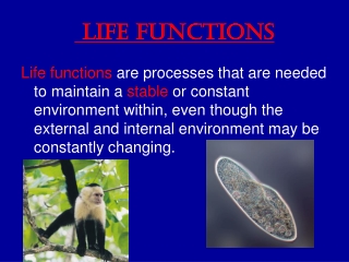 Life Functions