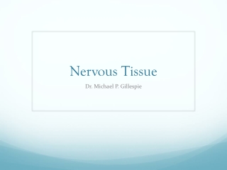 Nervous Tissue