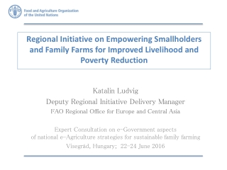 Katalin Ludvig Deputy  Regional Initiative  Delivery  Manager