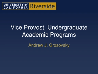 Vice Provost, Undergraduate Academic Programs