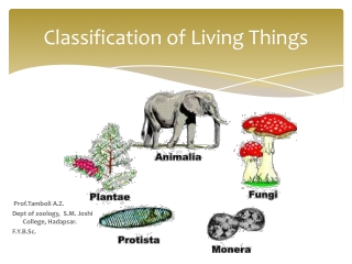 Classification of Living Things