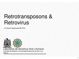 CA García Sepúlveda MD PhD