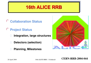 16th ALICE RRB