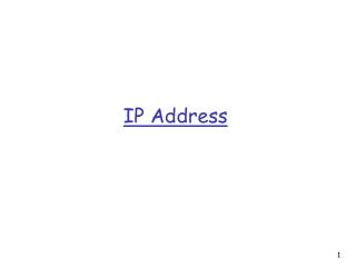 IP Address