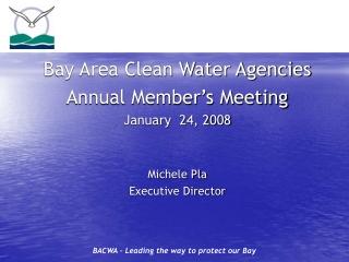 Bay Area Clean Water Agencies Annual Member’s Meeting January  24, 2008 Michele Pla
