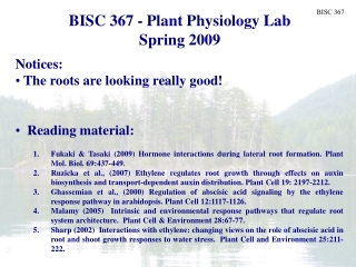 Plant Biology Fall 2006