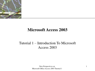 Microsoft Access 2003