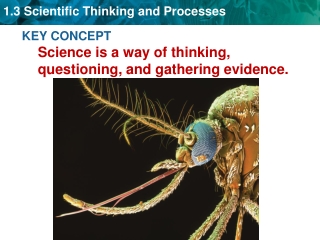 KEY CONCEPT Science is a way of thinking, questioning, and gathering evidence.