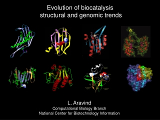 L. Aravind Computational Biology Branch National Center for Biotechnology Information