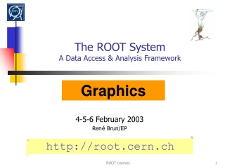 The ROOT System A Data Access &amp; Analysis Framework