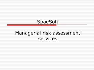 SpaeSoft Managerial risk assessment services