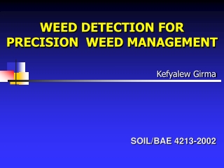 WEED DETECTION FOR PRECISION  WEED MANAGEMENT