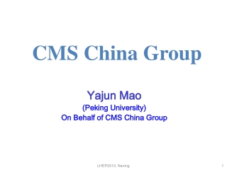 CMS China Group