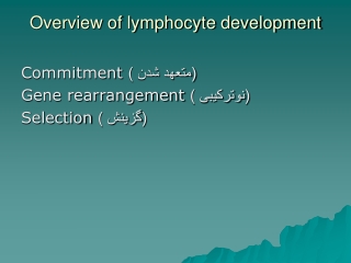 Overview of lymphocyte development