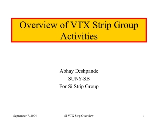 Overview of VTX Strip Group Activities