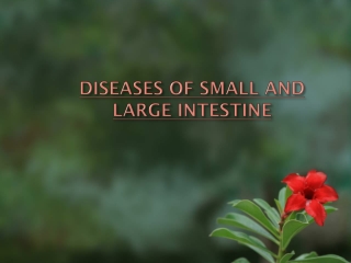 DISEASES OF SMALL AND  LARGE INTESTINE