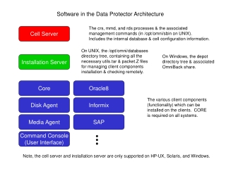 Cell Server