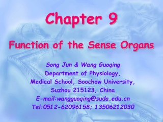 Chapter 9 Function of the Sense Organs