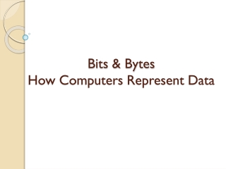 Bits &amp; Bytes How Computers Represent Data