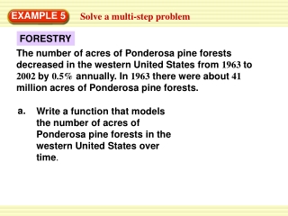 Solve a multi-step problem