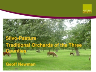 Silvo-Pasture Traditional Orchards of the Three Counties Geoff Newman