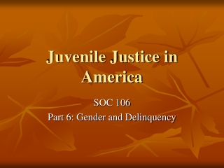 Juvenile Justice in America