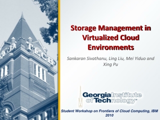 Storage Management in Virtualized Cloud Environments