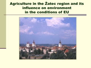 Agriculture in the Žatec region and its influence on environment in the conditions of EU