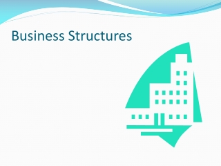 Business Structures