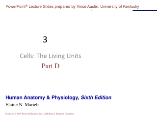 Cells: The Living Units Part D