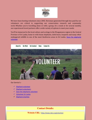 VOLUNTEERING IN AN ELEPHANT SANCTUARY